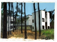 oil on paper 110 x 150 cm